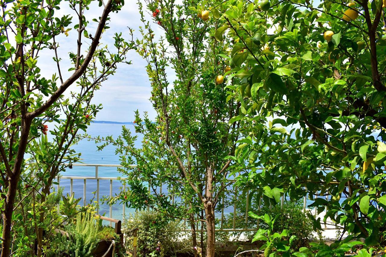Irma Apartment Podstrana Exterior photo